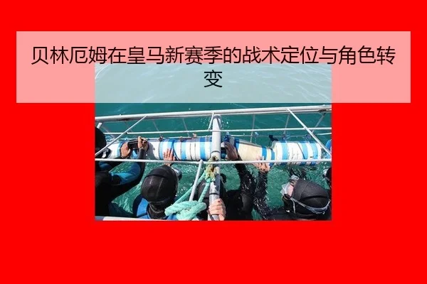bei-lin-e-mu-zai-huang-ma-xin-sai-ji-de-zhan-shu-ding-wei-yu-jue-se-zhuan-bian-3-591.jpg